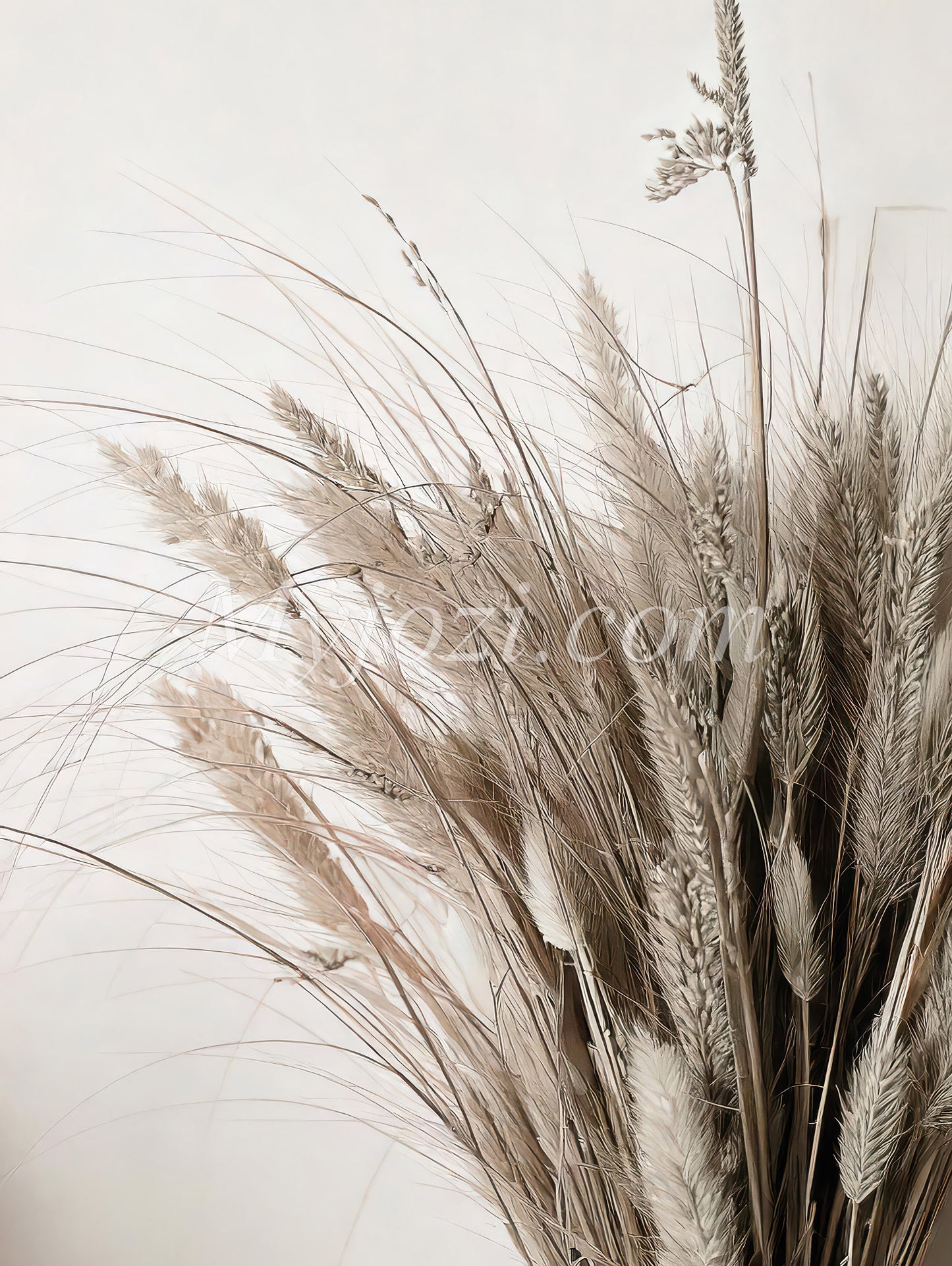 Malistico - Photo Poster In Soft Color Palette