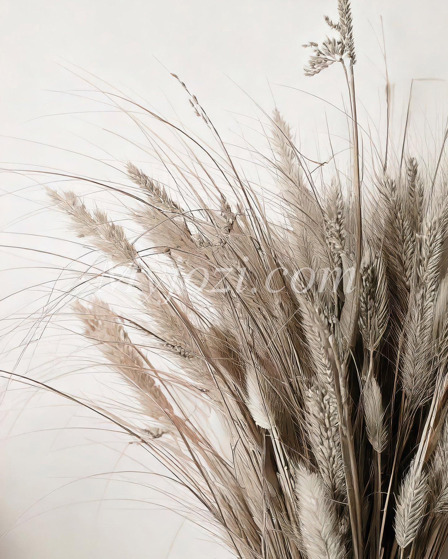 Malistico - Photo Poster In Soft Color Palette