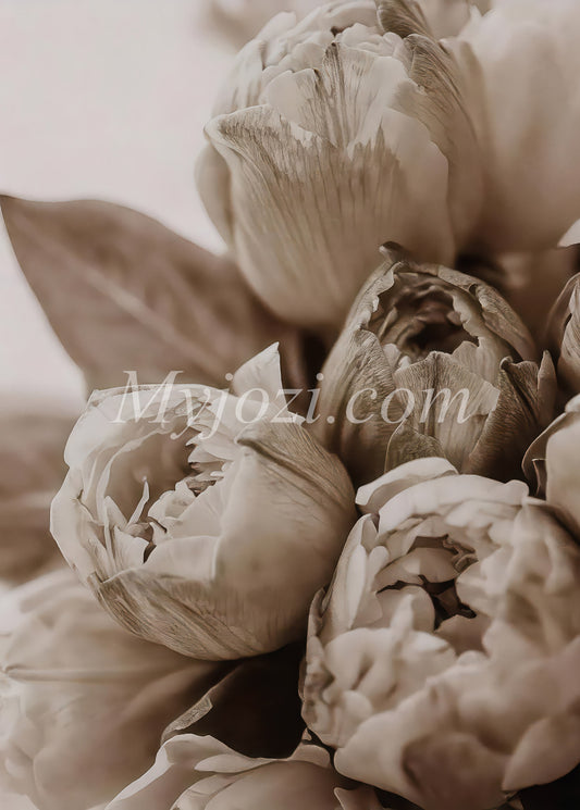 Poster Aperta Rosa - Skandinavisk stilren design med lugn och harmoni, perfekt inredningsdetalj.