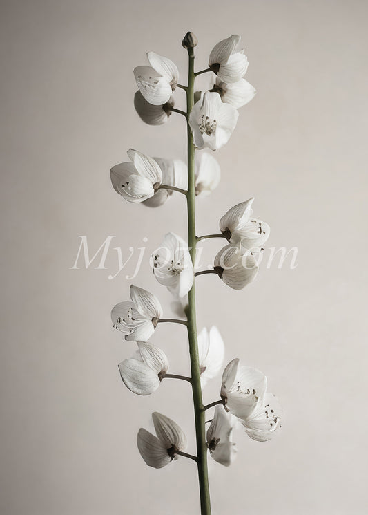 Poster Arbor Florum - Skandinavisk design i lugn och harmonisk stil, perfekt för alla rum.