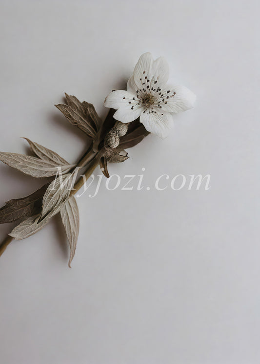 Elegant fotokonst inspirerad av naturen för harmoni i hemmet.