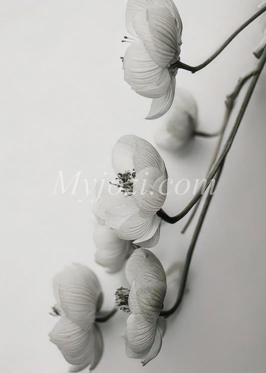 Svartvit Skandinavisk poster i mjuka naturtoner för lugn och elegans i hemmet.