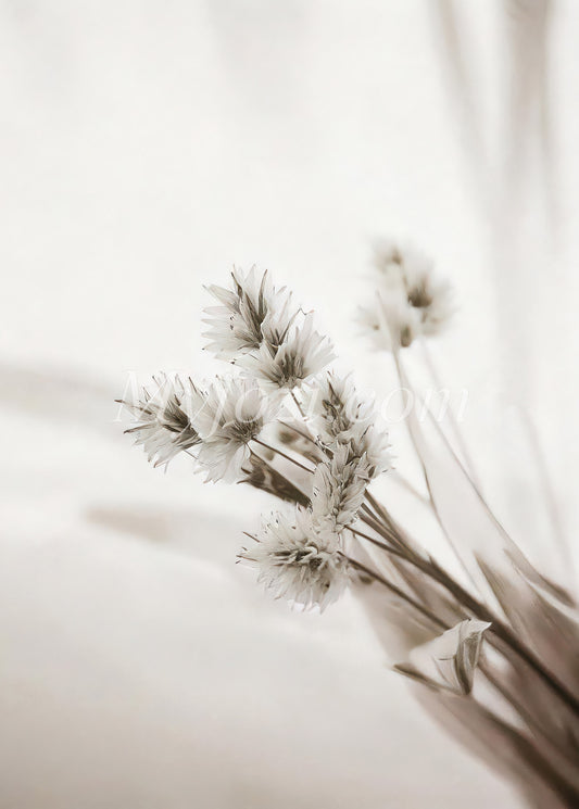 Poster Movuire Fawiere: Minimalistisk natur i monokroma toner, perfekt för tavelväggen.