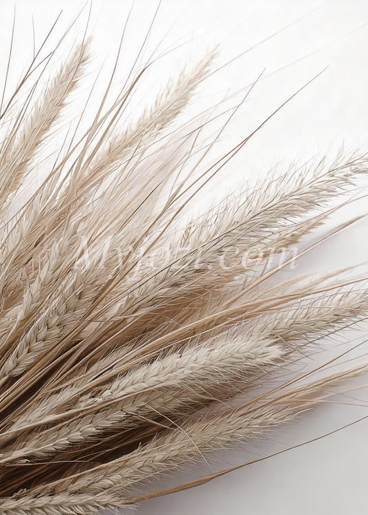 Foto-Poster i jordnära färger, skapar lugn och balans med naturens estetik.