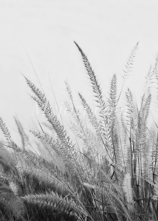 Stilren poster inspirerad av naturen, skapa en magisk atmosfär i ditt hem.