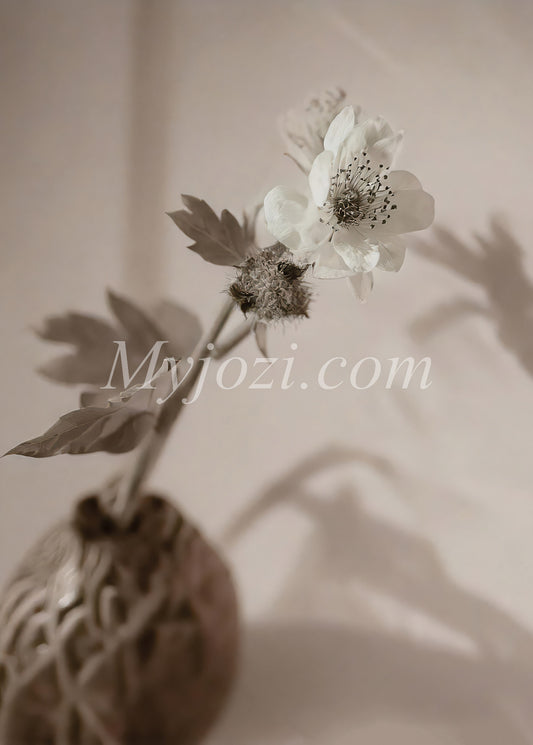 Poster Sotico - Tidlös elegans med naturens lugn och skönhet.