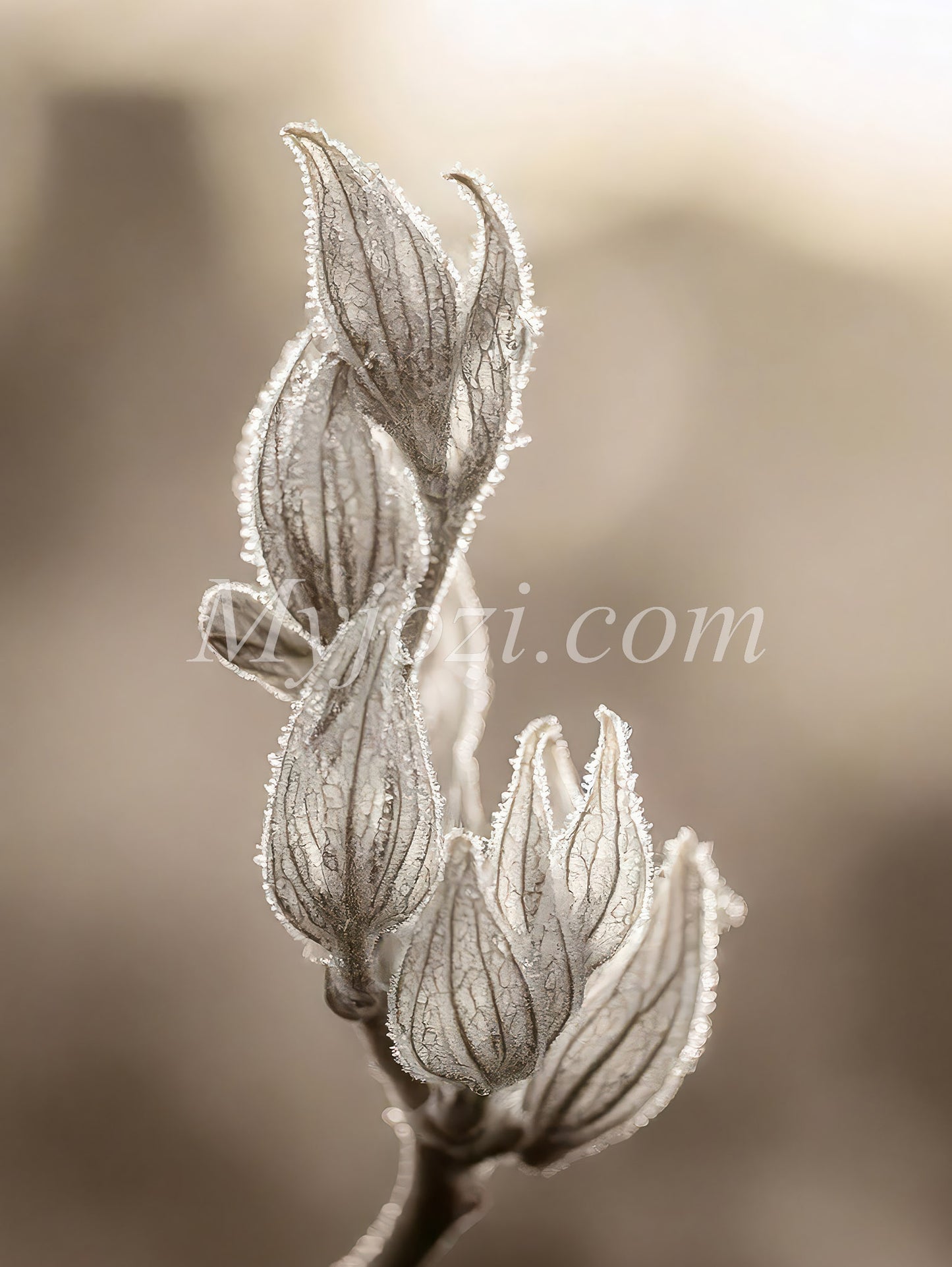 Photo Poster Tulio Venia - Perfect Interior Detail