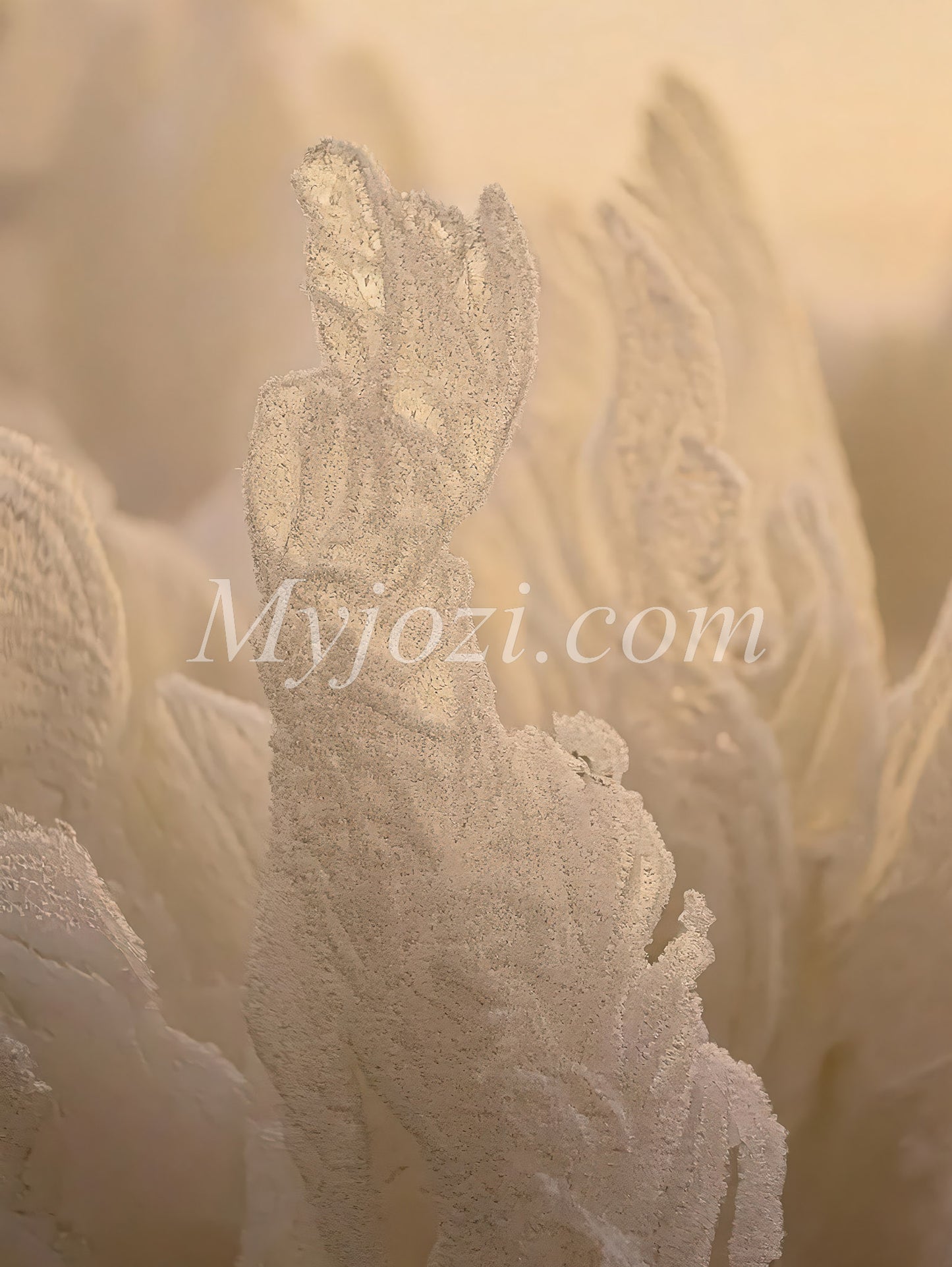 Photo posters Whity - Nature-inspired Winter photo