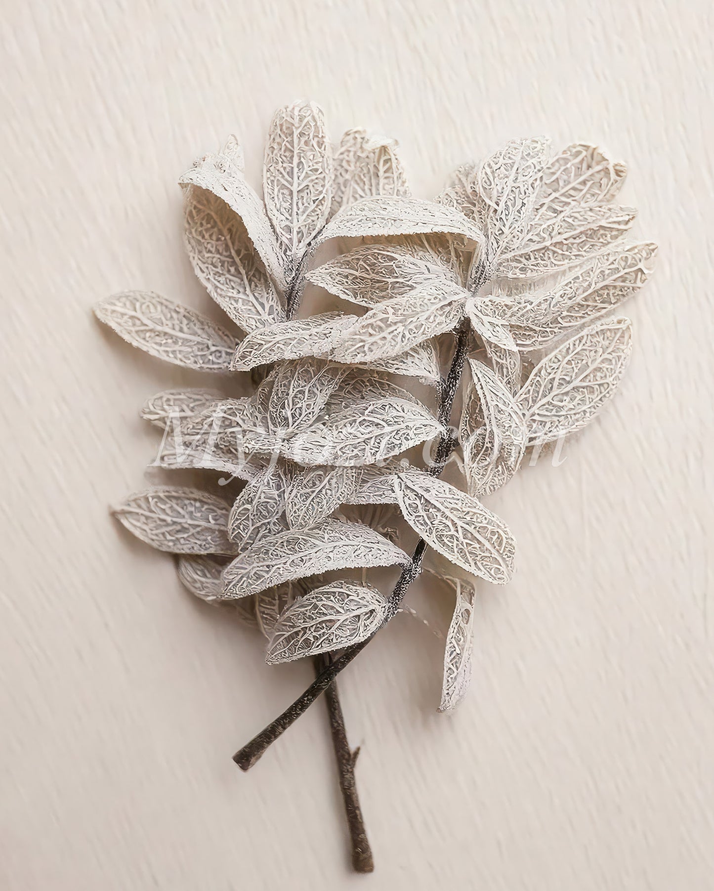 Photo Poster Vesitio Dulia - Inspired by Nature