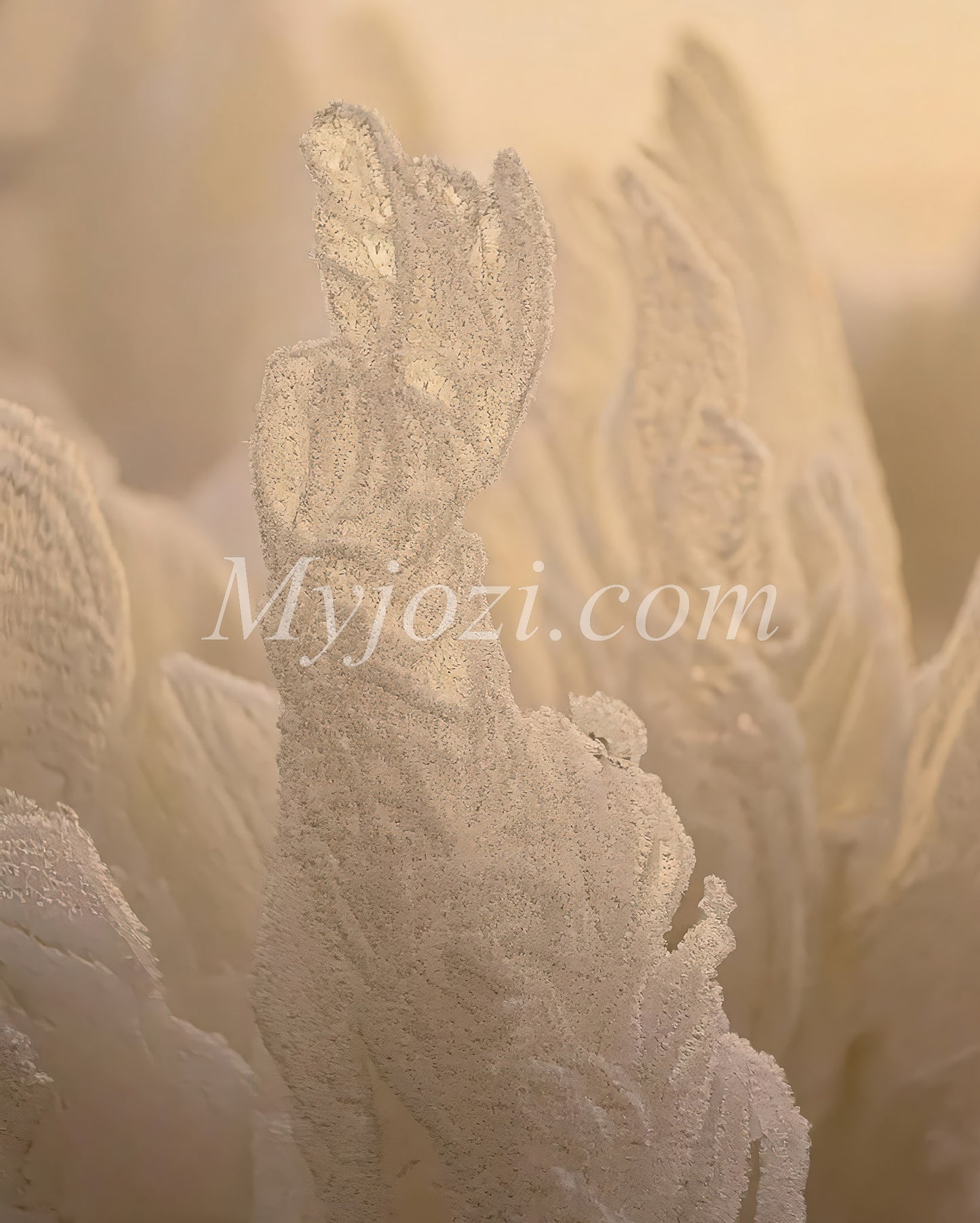 Photo posters Whity - Nature-inspired Winter photo