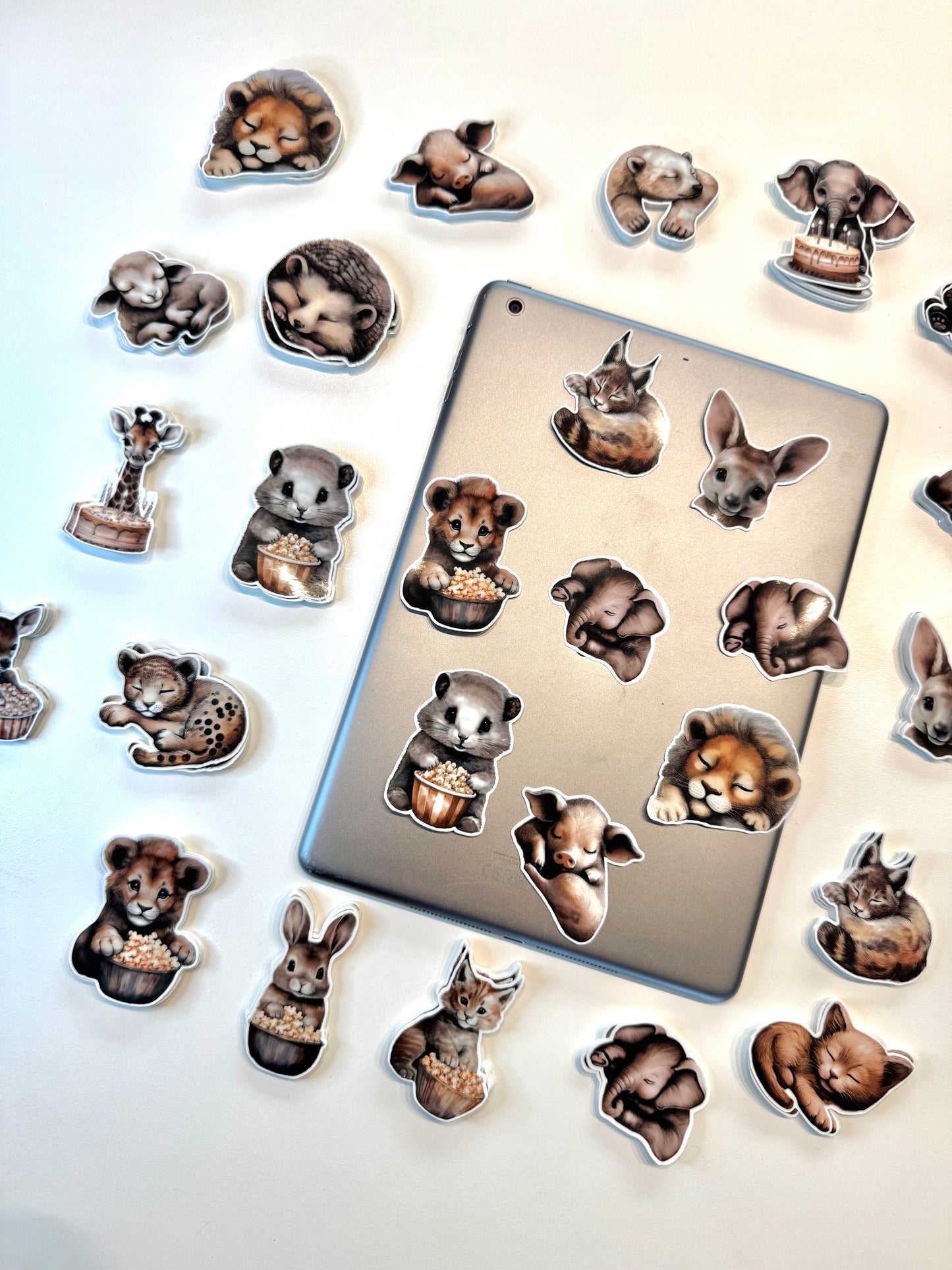 PREMIUM Stickers Djur/Fordon